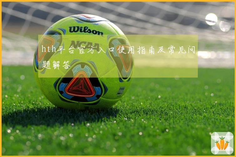 hth平台官方入口使用指南及常见问题解答